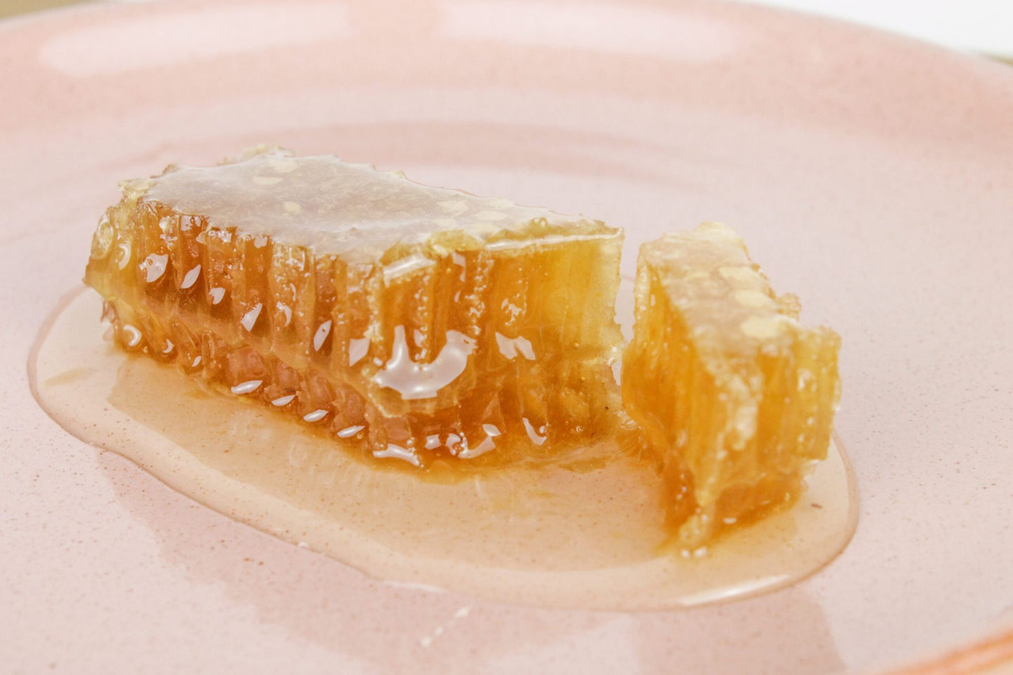 BeeHype Acacian Honeycomb